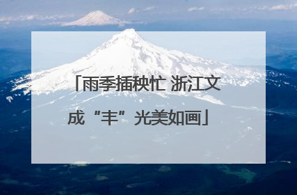 雨季插秧忙 浙江文成“丰”光美如画