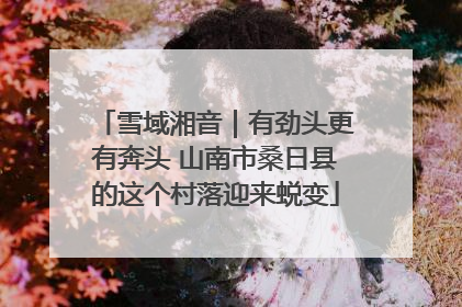 雪域湘音｜有劲头更有奔头 山南市桑日县的这个村落迎来蜕变