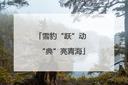 雪豹“跃”动 “典”亮青海