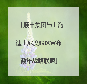 顺丰集团与上海迪士尼度假区宣布数年战略联盟