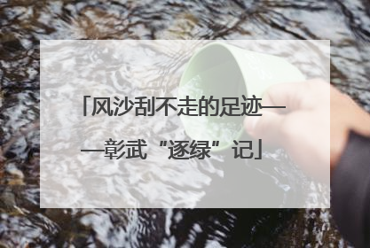 风沙刮不走的足迹——彰武“逐绿”记