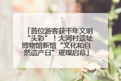 首位游客获千年文明“头彩”！大河村遗址博物馆新馆“文化和自然遗产日”璀璨启幕