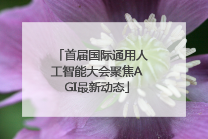 首届国际通用人工智能大会聚焦AGI最新动态