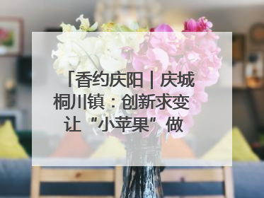 香约庆阳｜庆城桐川镇：创新求变 让“小苹果”做成“大产业”