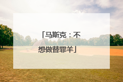马斯克：不想做替罪羊