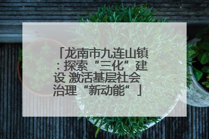 龙南市九连山镇：探索“三化”建设 激活基层社会治理“新动能”