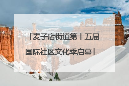 麦子店街道第十五届国际社区文化季启幕