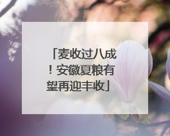 麦收过八成！安徽夏粮有望再迎丰收