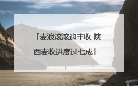 麦浪滚滚迎丰收 陕西麦收进度过七成