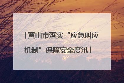 黄山市落实“应急叫应机制”保障安全度汛