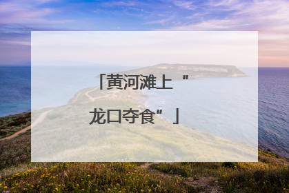 黄河滩上“龙口夺食”