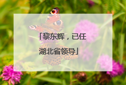 黎东辉，已任湖北省领导