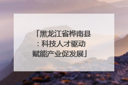 黑龙江省桦南县：科技人才驱动 赋能产业促发展