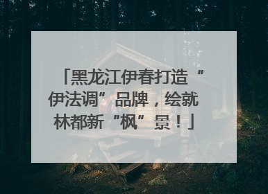 黑龙江伊春打造“伊法调”品牌，绘就林都新“枫”景！