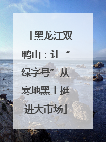 黑龙江双鸭山：让“绿字号”从寒地黑土挺进大市场