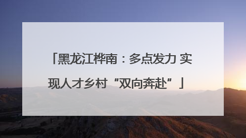 黑龙江桦南：多点发力 实现人才乡村“双向奔赴”