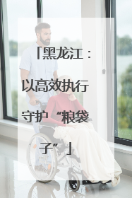 黑龙江：以高效执行守护“粮袋子”