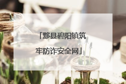 黟县碧阳镇筑牢防诈安全网
