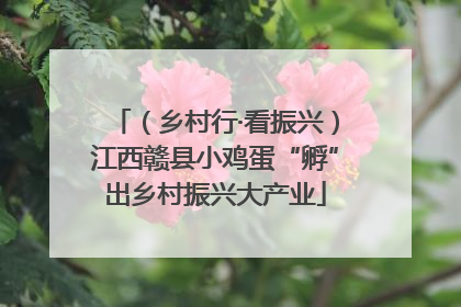 （乡村行·看振兴）江西赣县小鸡蛋“孵”出乡村振兴大产业
