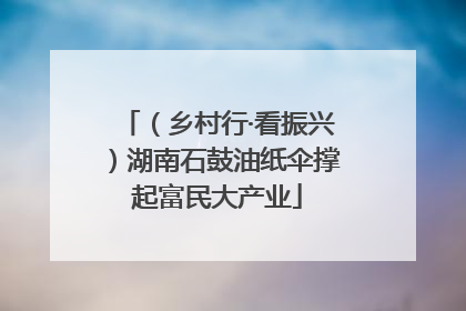 （乡村行·看振兴）湖南石鼓油纸伞撑起富民大产业