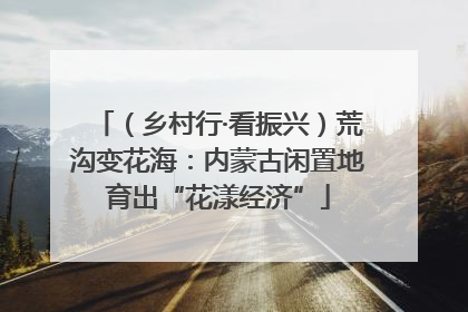 （乡村行·看振兴）荒沟变花海：内蒙古闲置地育出“花漾经济”