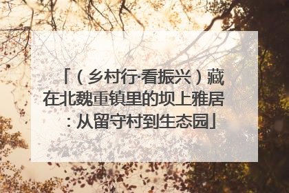 （乡村行·看振兴）藏在北魏重镇里的坝上雅居：从留守村到生态园