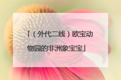 （外代二线）欧宝动物园的非洲象宝宝