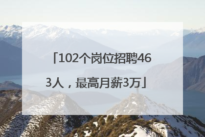 102个岗位招聘463人，最高月薪3万