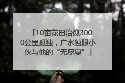 10亩花田治愈3000公里孤独，广水独眼小伙与他的“无尽夏”