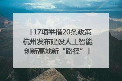 17项举措20条政策 杭州发布建设人工智能创新高地新“路径”