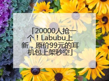 20000人抢一个！Labubu上新，原价99元的耳机包上架秒空