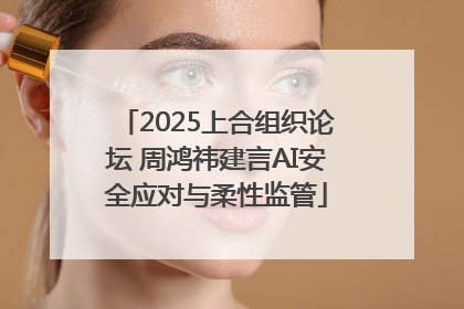 2025上合组织论坛 周鸿祎建言AI安全应对与柔性监管