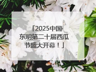 2025中国·东明第二十届西瓜节盛大开幕！