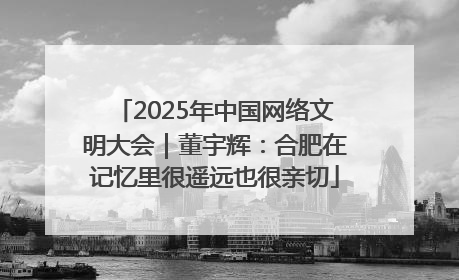 2025年中国网络文明大会｜董宇辉：合肥在记忆里很遥远也很亲切