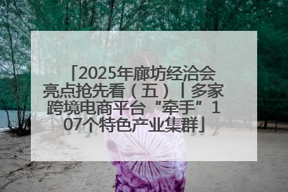 2025年廊坊经洽会亮点抢先看（五）丨多家跨境电商平台“牵手”107个特色产业集群