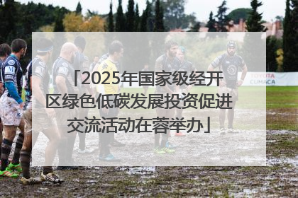 2025年国家级经开区绿色低碳发展投资促进交流活动在蓉举办