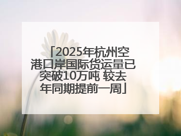2025年杭州空港口岸国际货运量已突破10万吨 较去年同期提前一周