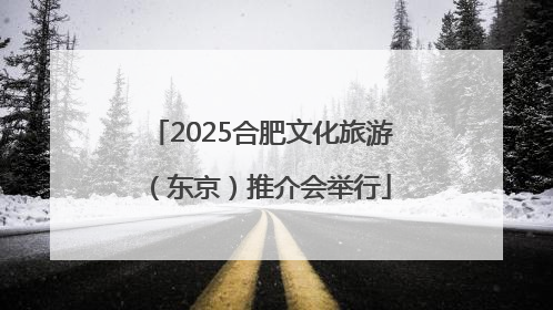2025合肥文化旅游（东京）推介会举行