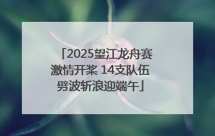 2025望江龙舟赛激情开桨 14支队伍劈波斩浪迎端午