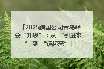 2025跨国公司青岛峰会“升级”：从 “引进来” 到 “链起来”