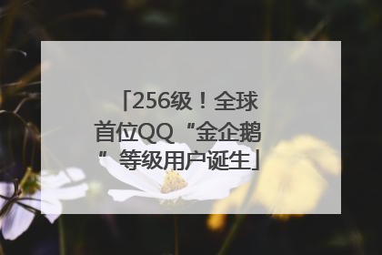 256级！全球首位QQ“金企鹅”等级用户诞生