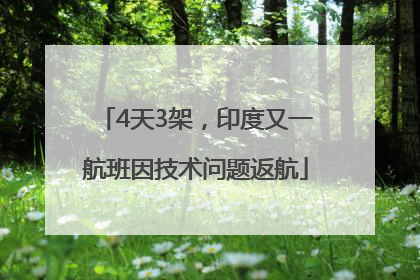 4天3架，印度又一航班因技术问题返航