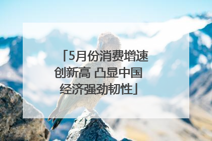 5月份消费增速创新高 凸显中国经济强劲韧性