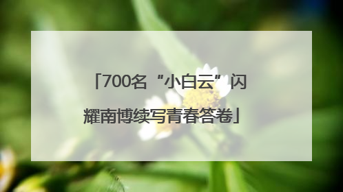700名“小白云”闪耀南博续写青春答卷
