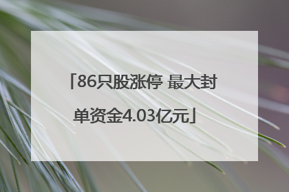 86只股涨停 最大封单资金4.03亿元