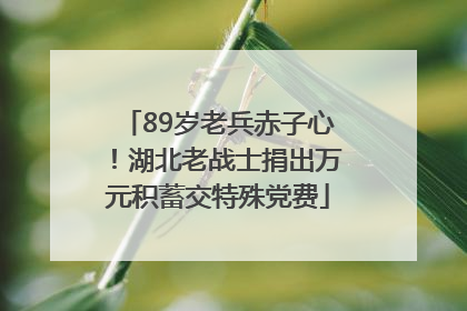 89岁老兵赤子心！湖北老战士捐出万元积蓄交特殊党费