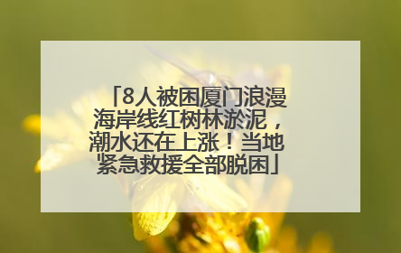 8人被困厦门浪漫海岸线红树林淤泥，潮水还在上涨！当地紧急救援全部脱困