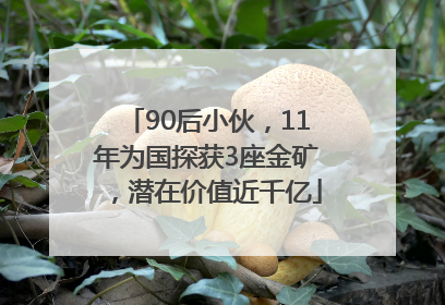 90后小伙，11年为国探获3座金矿，潜在价值近千亿