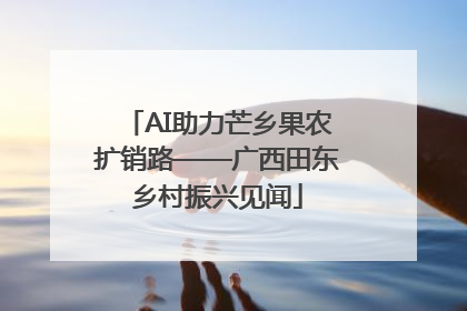 AI助力芒乡果农扩销路——广西田东乡村振兴见闻