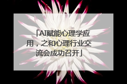 AI赋能心理学应用，之和心理行业交流会成功召开